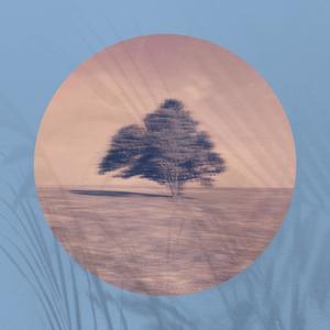 Skipped (feat. Gregory Topalis)