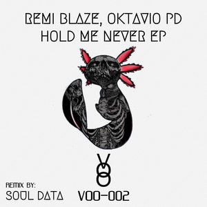 Hold Me Never (Soul Data Remix)