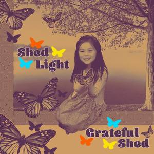 Grateful Shed