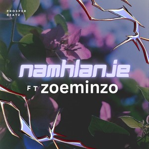 Namhlanje