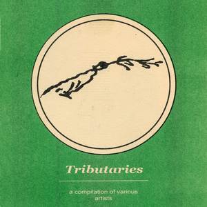 Another Blinking Face