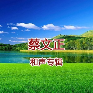 爱的真谛封面