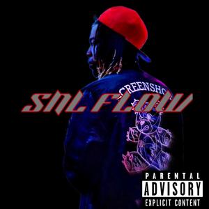 SNL FLOW (Explicit)