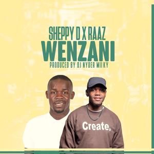 Wenzani (feat. Sheppy D)