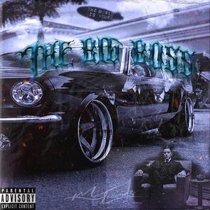 Flow Galaxy (Explicit)