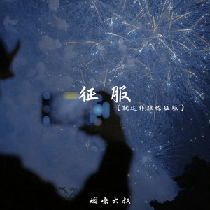 征服(就这样被你征服)