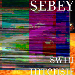 Swin Intensif