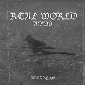 Real World (Explicit)