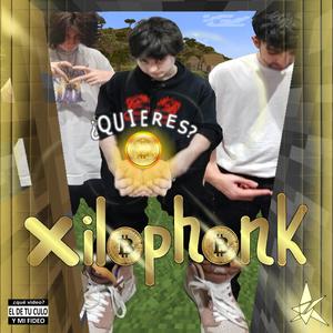 XILOPHONK (feat. p11ter & fr4n) [Explicit]