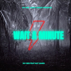 Wait A Minute(feat. Nat James)