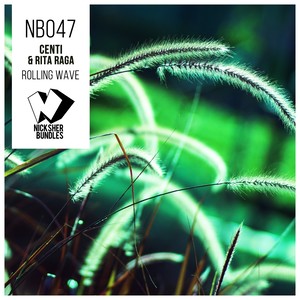 Rolling Wave (Original Mix)