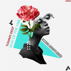 Drive You Mad (AfroMove's Frequency Dub)