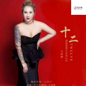 十二 (Dj阳少_Remix|DJ版)