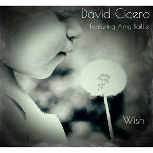 Wish (feat. Amy Baillie)