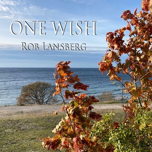 One Wish (feat. Christa Larsvall)