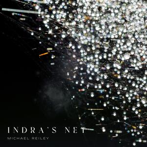 Indra's Net