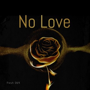 No love (Explicit)