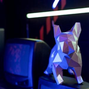 Endless starry sky (无尽的星空)