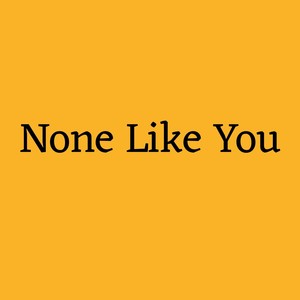 None Like You