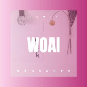 我们只是爱过 (DJ版)