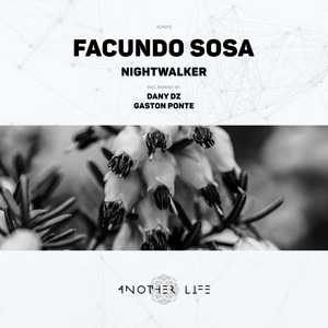 Nightwalker (Dany Dz Remix)