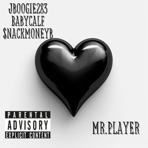 Mr. Player (Explicit)