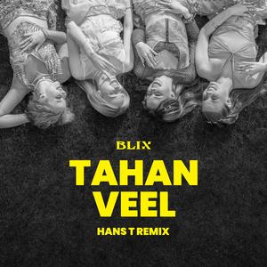 Tahan veel (Hans T Remix)