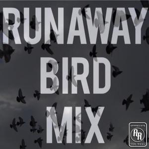 RunAway Bird (Explicit)