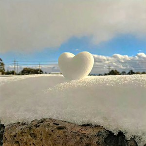 你的心有一道墙 (DJ版)