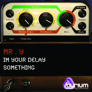 Im Your Delay Something EP