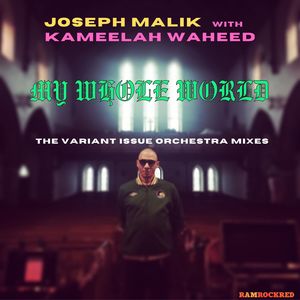 My Whole World (Variant Issue Orchestra Vocal Remix)