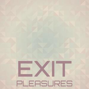 Exit Pleasures