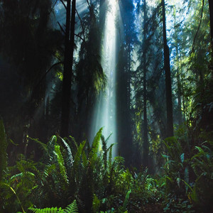 Relaxing Sleep Music ★121 (Short)