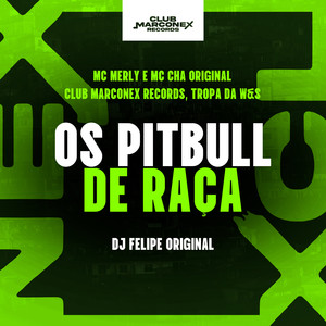 Os Pitbull de Raça