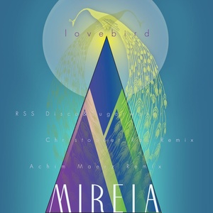 RSS Disco - Lovebird (Rough Achim Maerz Remix)