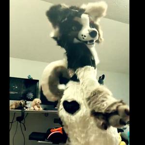 Gaydog (freestyle) (Explicit)