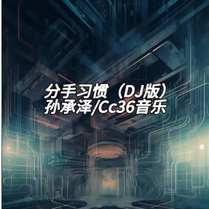 分手习惯 (DJ版)