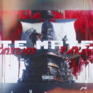 TE MATEE (feat. Altemisjc)