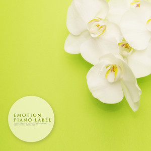 너의 미소를 보며 (Looking At Your Smile)