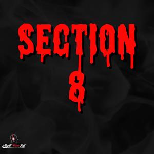 Section 8 (feat. Chilly Frio, Persia Viccarr & DanKum) (Explicit)
