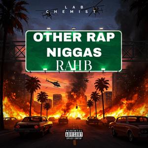 OTHER RAP NIGGAS (Explicit)