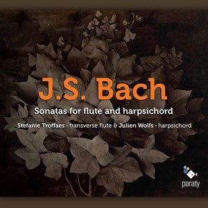 Flute Sonata in E Major, BWV 1035 - Sonata in E Major for Flute and Basso Continuo, BWV 1035: II. Allegro