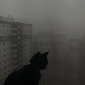 skin (slowed & reverb)