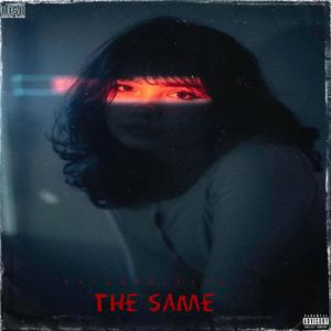 THE SAME