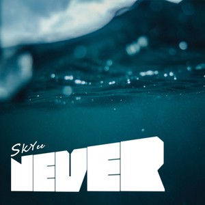 NEVER（feat. 张玮伽Vega）