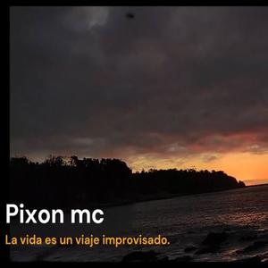 La vida es un viaje improvisado