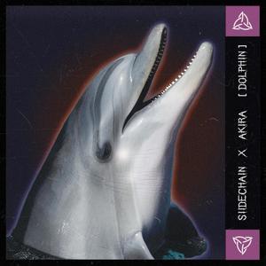 Dolphin (Explicit)