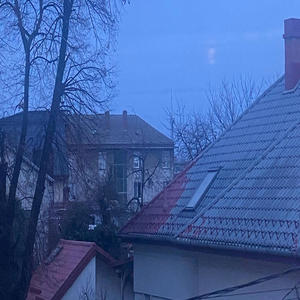 gardens (feat. kaijitsu) (Explicit)