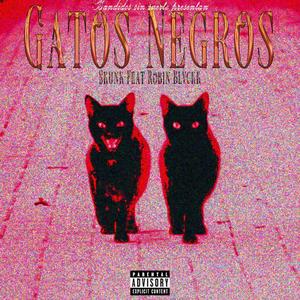 Gatos Negros (feat. Robin Blvckk) (Explicit)