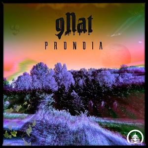 Pronoia EP